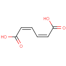 cis,cis-muconic acid