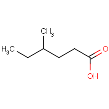 4-methylhexanoic acid