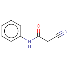 N-苯基-2-氰乙酰胺