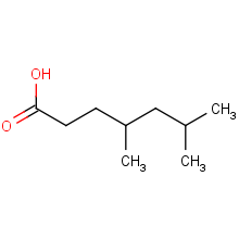 4,6-二甲基正庚酸