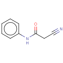 phenylcarbamoyl-acetonitrile