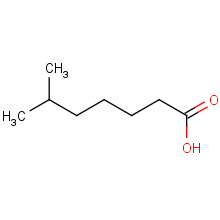 6-methylheptanoic acid